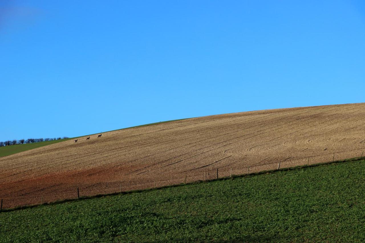 Crossways Self-Catering Cottage - Self Contained East Ravendale Esterno foto